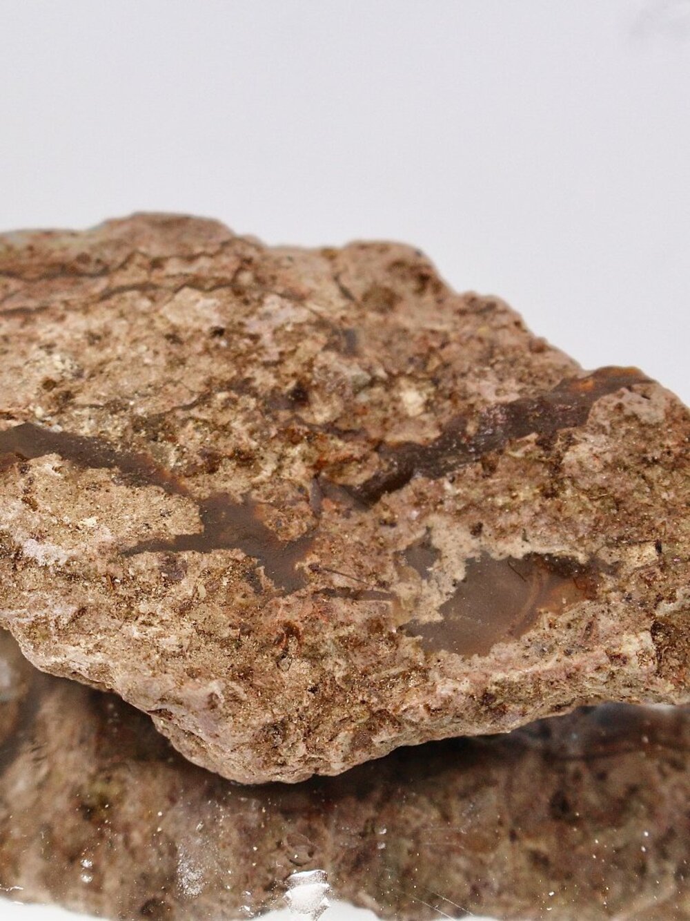 Virgin Valley Opal Petrified Wood Log Limb Cast Raw Rough Specimen Nevada 40g